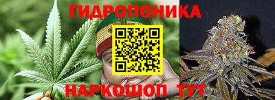 стафф Кинель