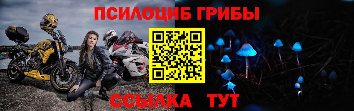 Галлюциногенные грибы прущие грибы Ижевск